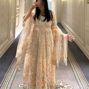Pakistani dress